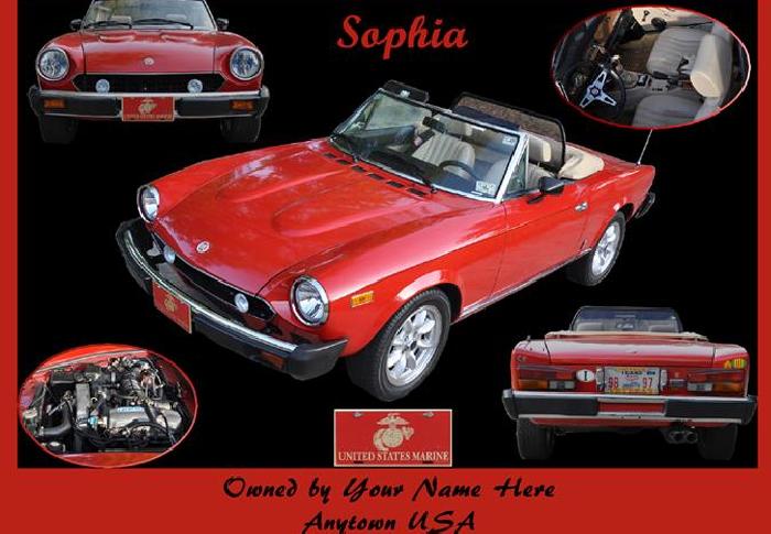 CarShow4